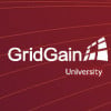 GridGain University Team