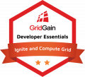 Ignite and Compute Grid badge