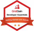 Getting started with GridGain Nebula Course Badge