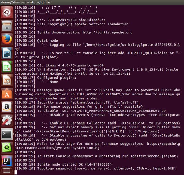 Figure 4. First Apache Ignite node