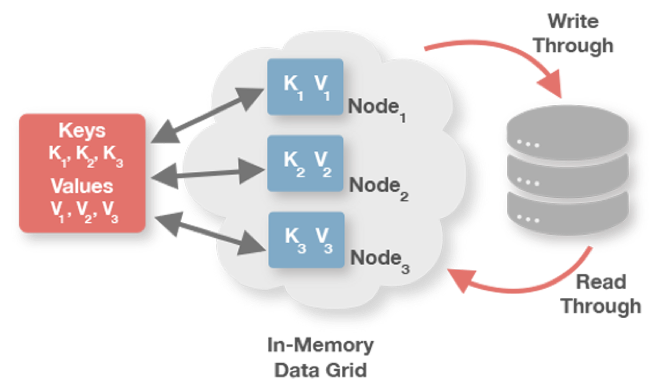 Figure 1: Read-Through and Write-Through