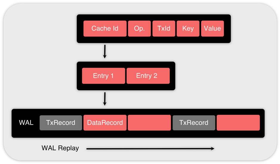 Figure 3: Structure of the data record