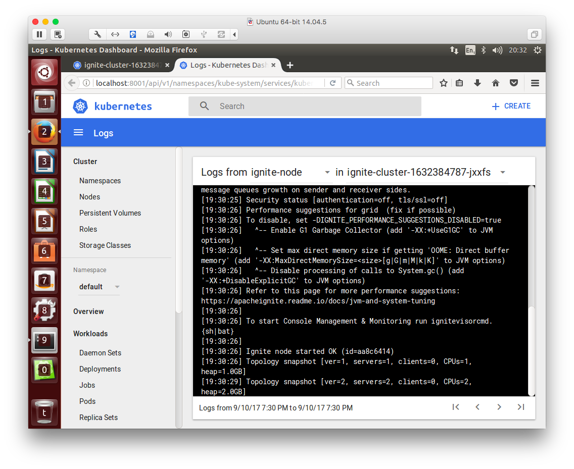 Figure 4. Apache Ignite Cluster