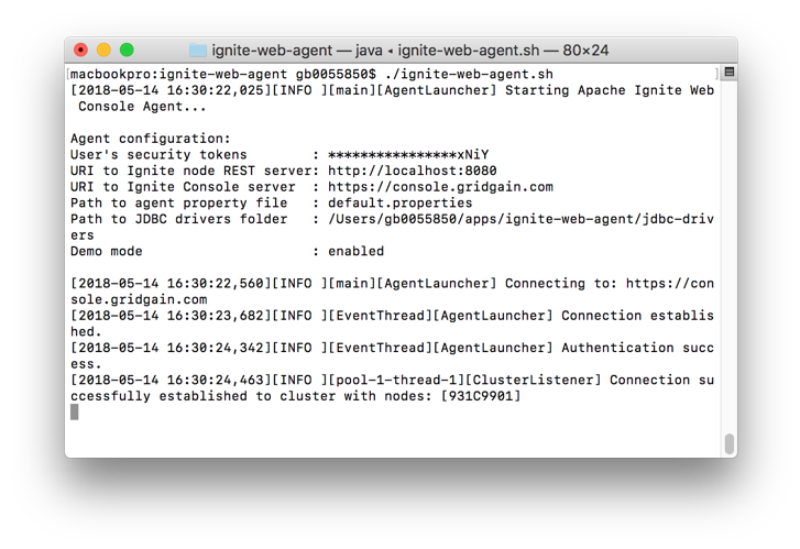 Figure 4. Ignite Web Agent.