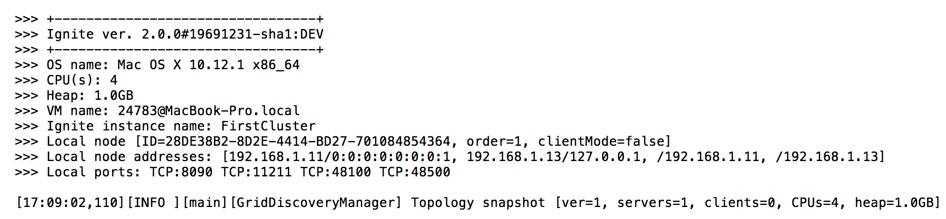 Ignite cluster with one node