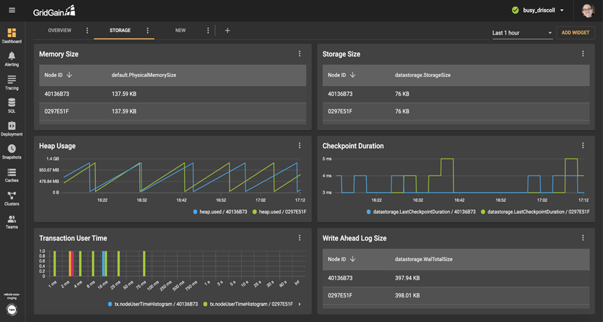 Apache Ignite Saas