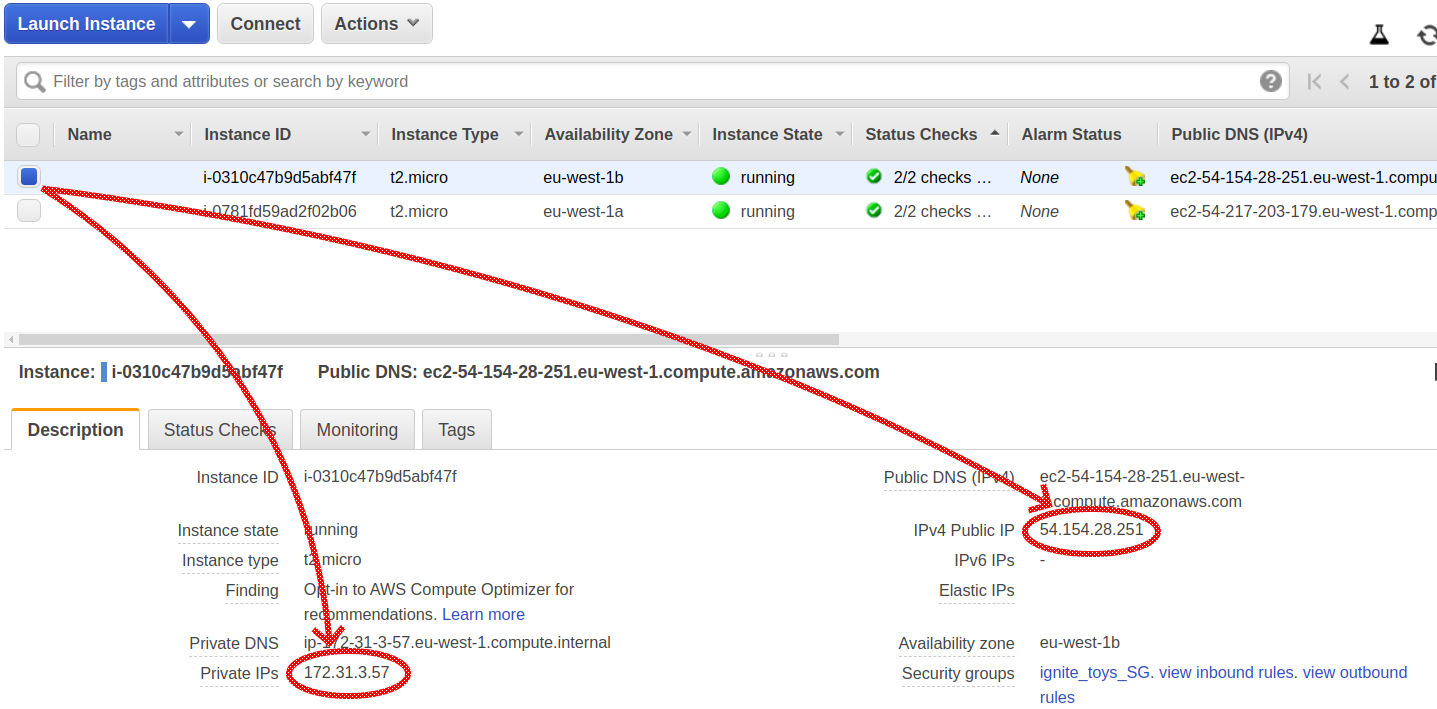 Apache Ignite Private and public IP addresses in AWS console.