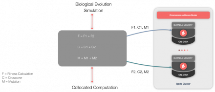 Genetic Algorithms with Apache® Ignite™