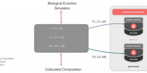 Genetic Algorithms with Apache® Ignite™