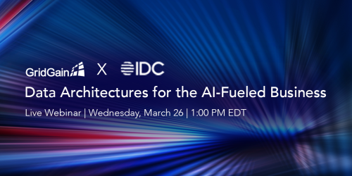 Data Architectures for the AI-Fueled Business