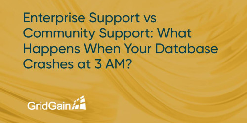 Enterprise Support vs Community Support: What Happens When Your Database Crashes at 3 AM?