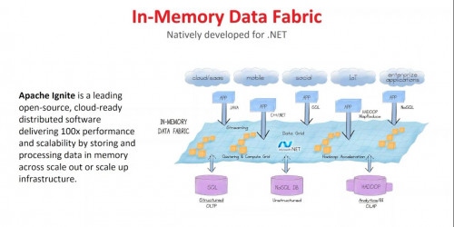 GridGain and Apache Ignite : Speed and Scale for Your .NET Applications