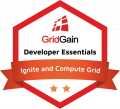 Ignite and Compute Grid badge