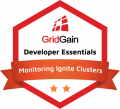 Monitoring Apache Ignite Clusters with GridGain Nebula